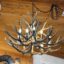 Mule Deer Chandelier CH004