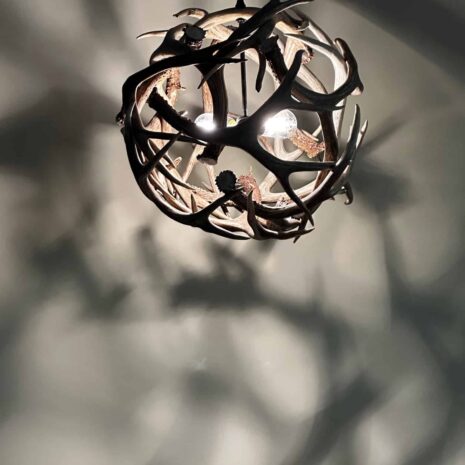 Mule Deer Globe CH021 Mule Deer Globe CH021