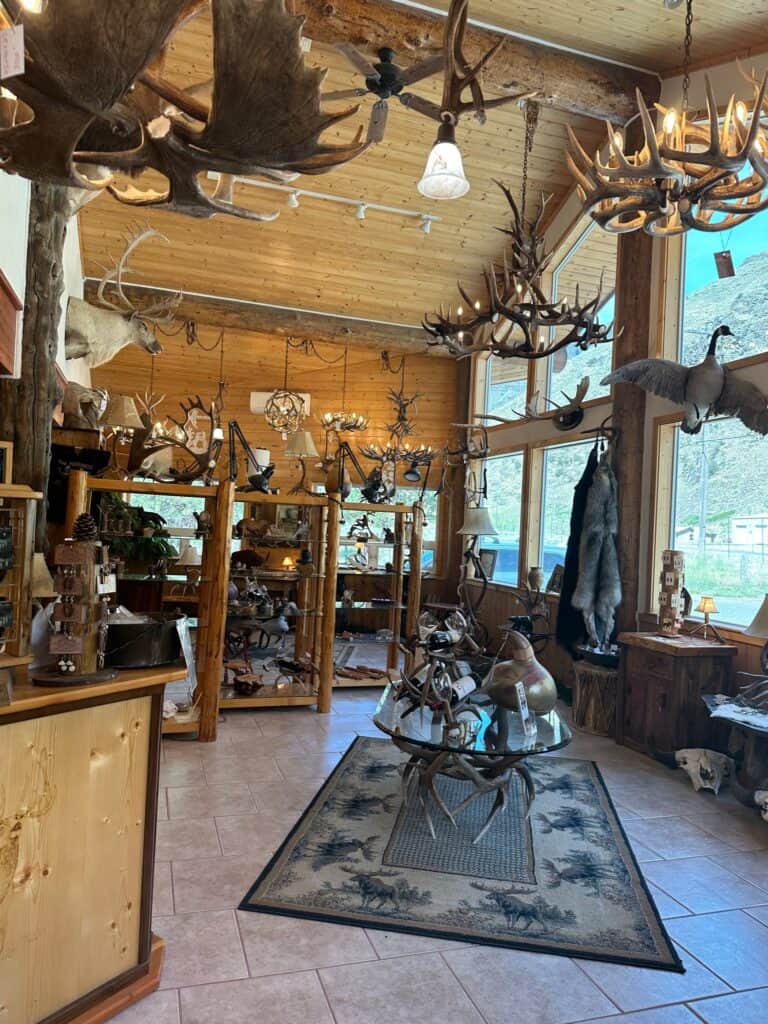 unique antler design