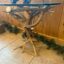 mule deer end table