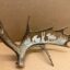 Unique Antler designs the unannounced visitor. This depicts a bear walking up on to a moose, deer, or elk. Our picture depict the bear walking up on a moose. Our carving are made for the wall or can be based with solid antlers that can vary from deer to small moose bases because of the unique shape of all of our antlers. All rosettes are beautifully shinned. 