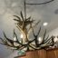 Mule Deer Chandelier