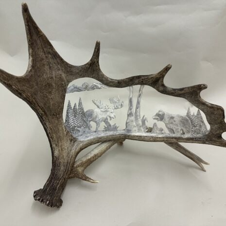 moose and bear antler carving