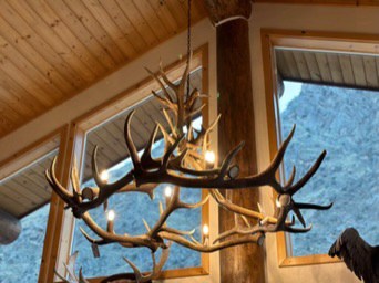 antler chandelier