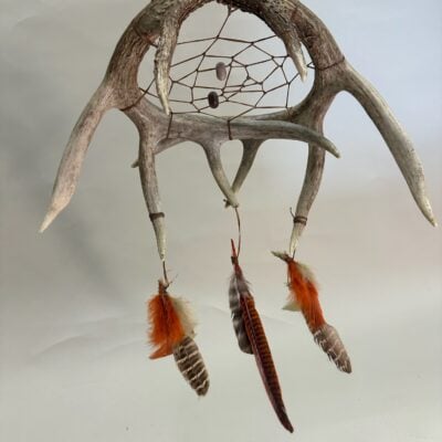 Dreamcatcher Whitetail