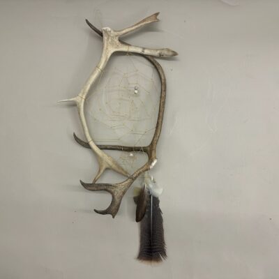 Dreamcatcher Caribou