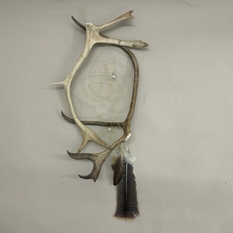 Dreamcatcher Caribou