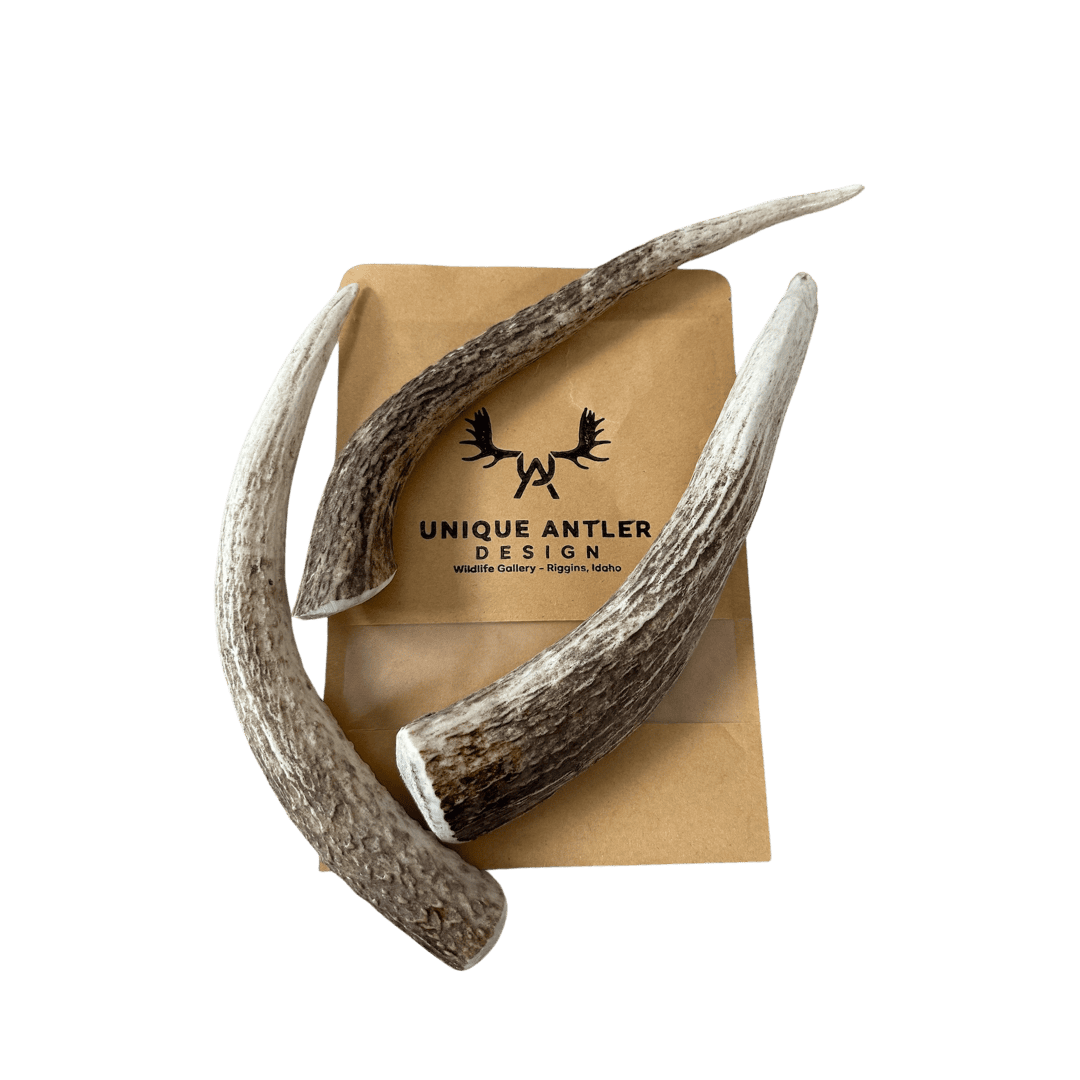 Natural antler dog chews for pet dental health. Antler dog treats, antler chews